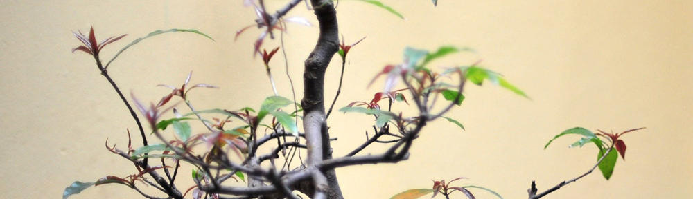 Ömer Usta Çilingir Hizmetleri 7/24